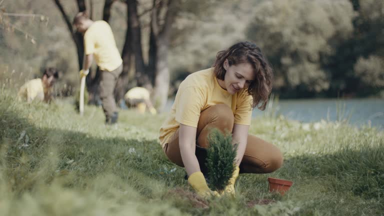 Lawn Watering Services in Greenville, GA